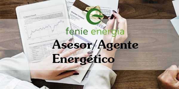 Asesor Agente Feníe Energía