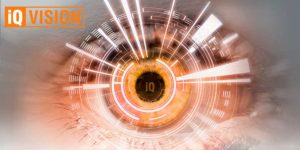 El software para el control de edificios de Trend: IQVision 2.2