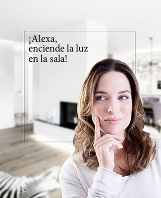 Control por Voz Jung