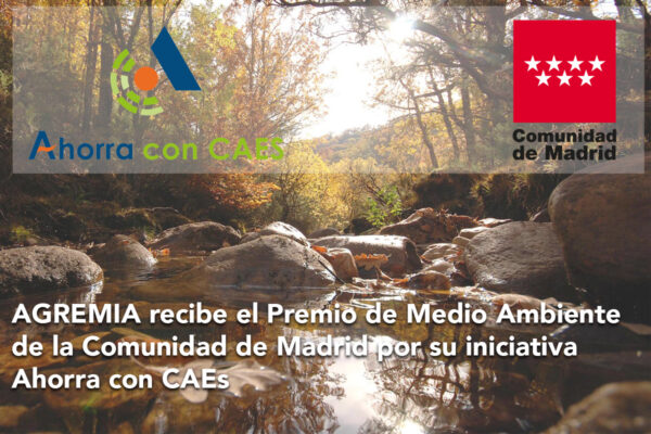 premio medio ambiente